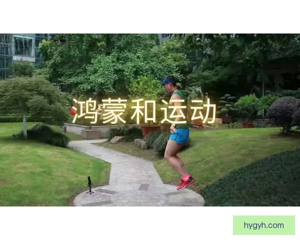 鸿蒙体育应用横评职场观赛效率之选 鸿蒙体育应用横评职场观赛效率之选
